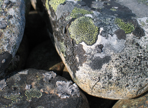 Баренцево море  камни с рисунками